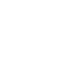 de Rebel